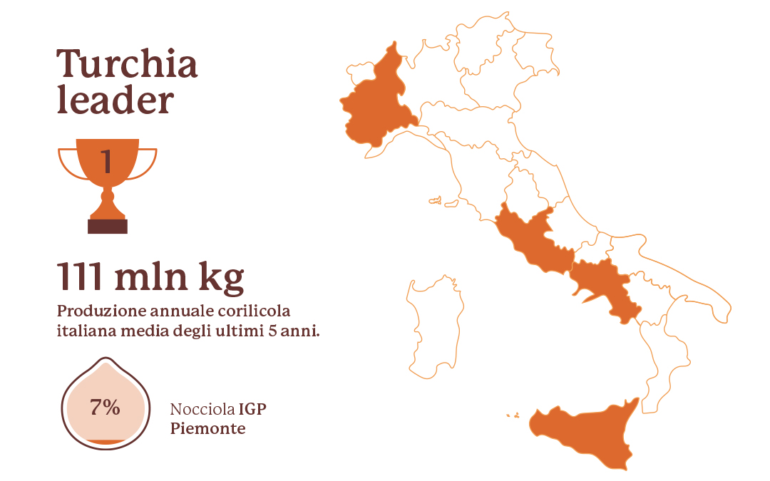 Le Nocciole Infografica